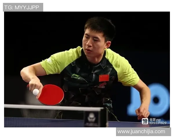 乒乓球场上的奋斗与梦想：王娜的深度人生对话探索