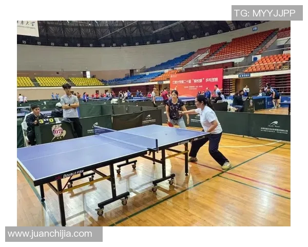 乒乓球的魅力与坚持南京乒乓球队背后的故事与力量探秘