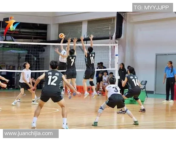 聚焦排球：成都排球队如何在竞技中把握节奏与团队协作